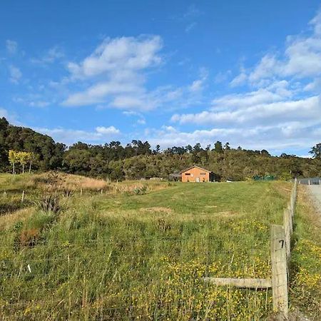 Enchanted Retreat In Greymouth Shared With Host المظهر الخارجي الصورة